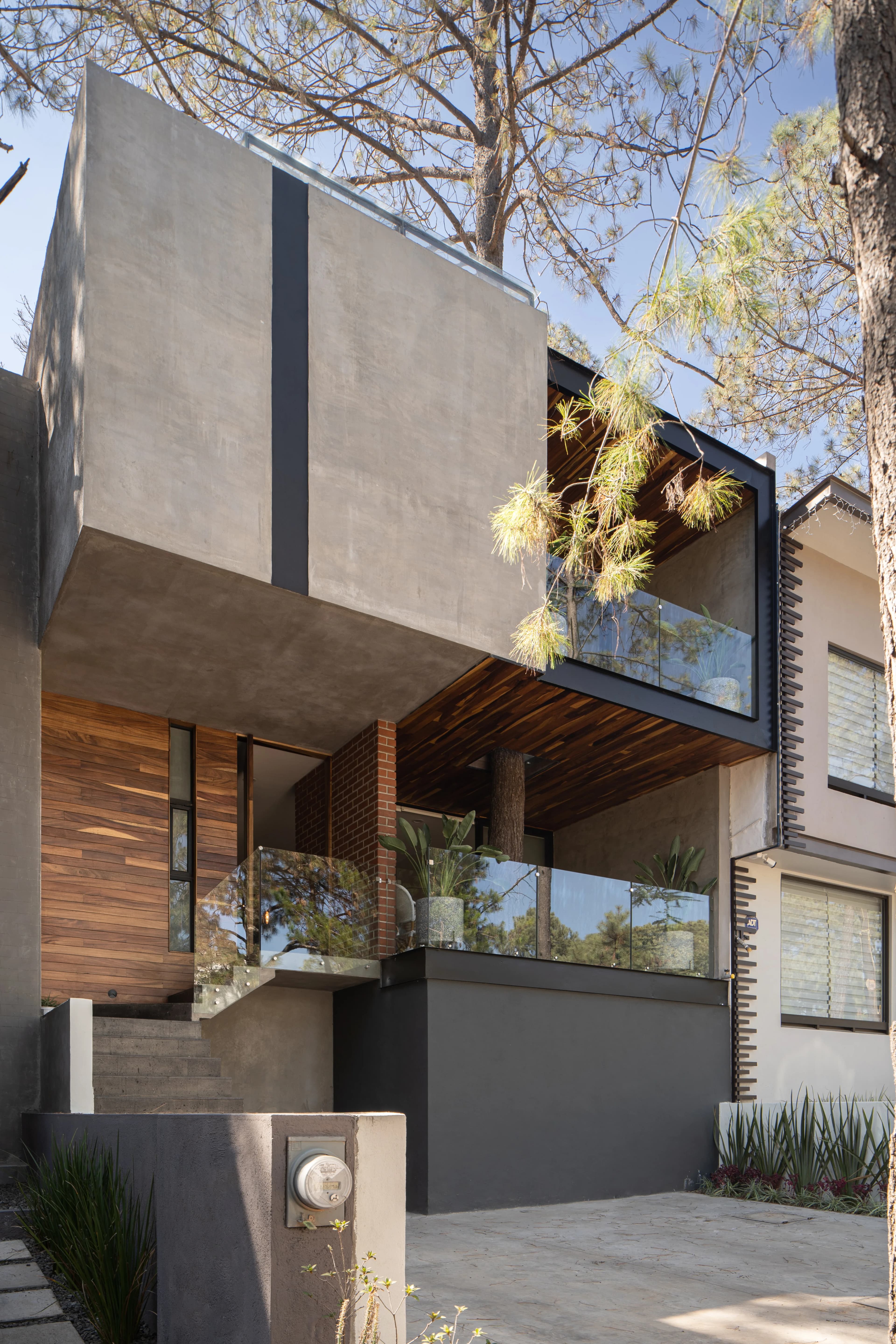 Fachada de Casa Zorros en concreto aparente y madera, entre pinos